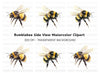 Fluffy Bumblebee Clipart Bundle