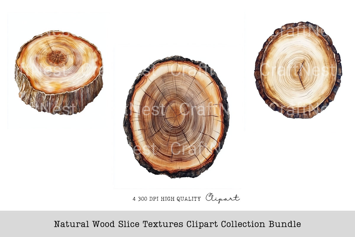 Natural Wood Slice Textures Clipart Bundle