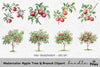 Apple Tree Branch Clipart Bundle