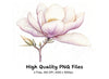 Elegant Magnolia Clipart Bundle