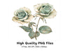 Elegant Sage Green Beige Rose Clipart Bundle