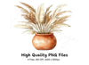 Pampas Grass in Terracotta Pots Clipart Bundle