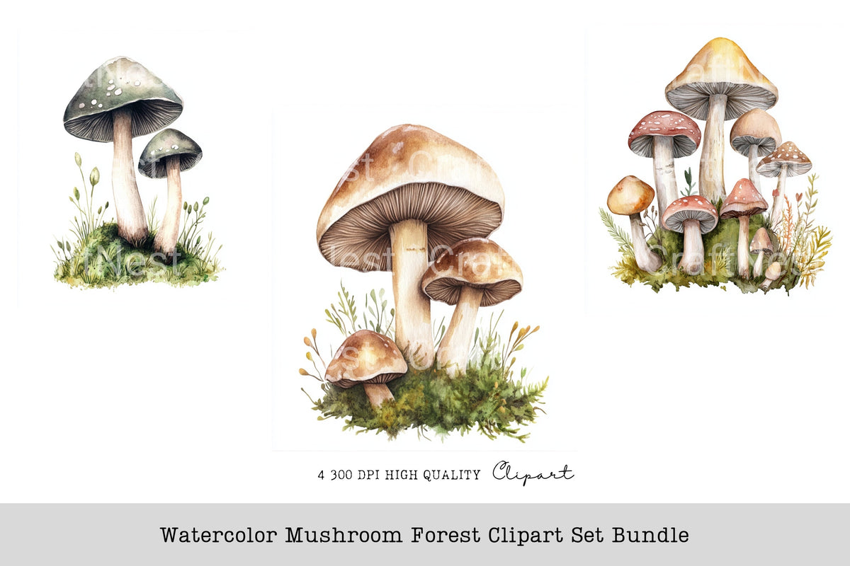 Mushroom Forest Clipart Bundle
