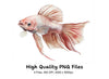 Vibrant Betta Fish Clipart Bundle