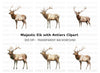 Majestic Elk Clipart Bundle