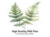 Green Fern Foliage Clipart Bundle
