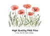 Poppy Flowers Clipart Bundle