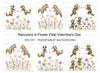 Raccoons and Wildflowers Clipart Bundle