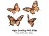 Monarch Butterfly Clipart Bundle
