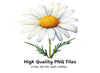 Daisy Clipart Bundle