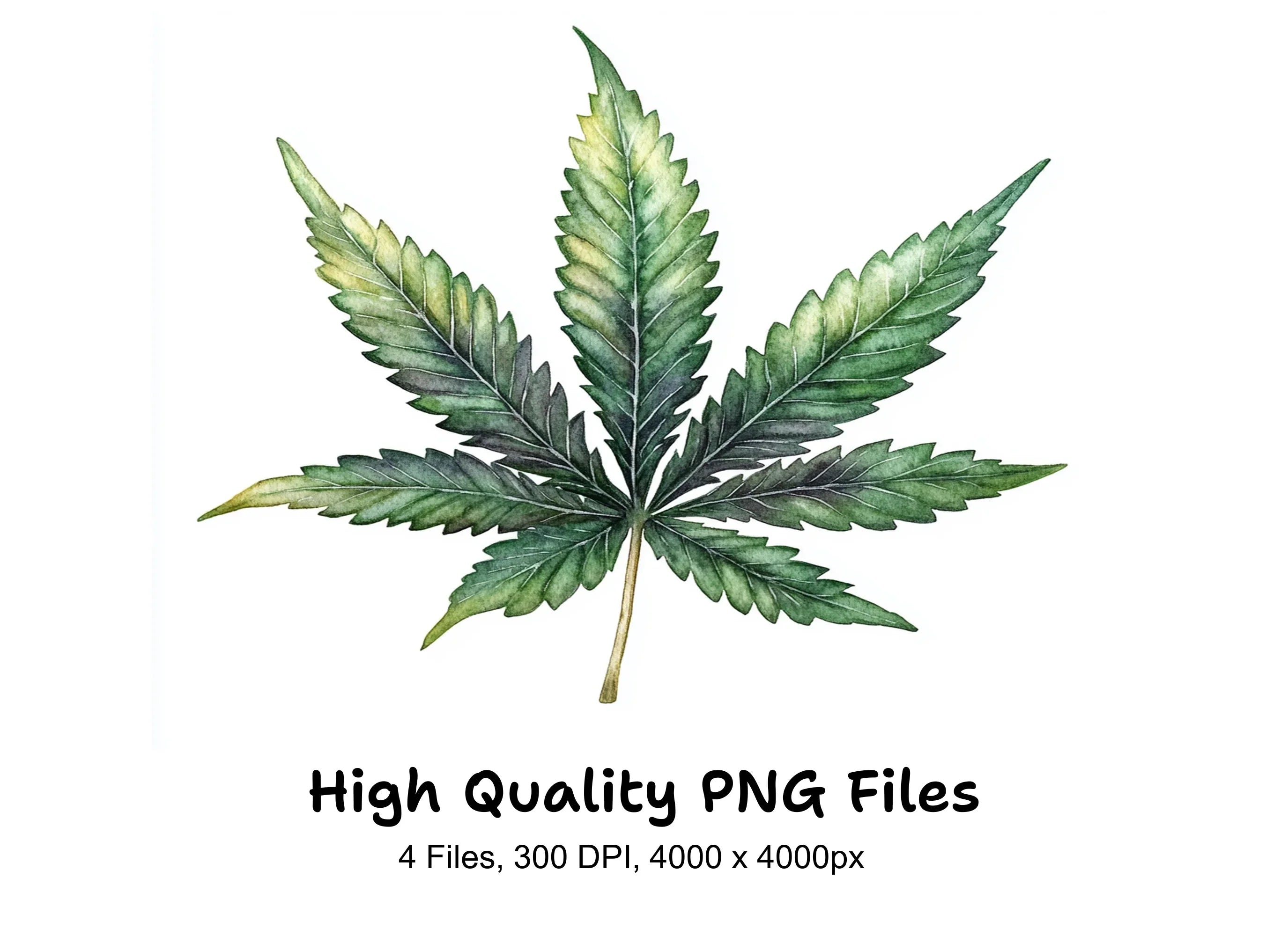 Cannabis Leaves Clipart Bundle