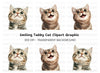 Cute Tabby Kitten Faces Clipart Bundle