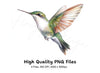 Hummingbird Clipart Bundle