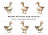 Cute Duck Clipart Bundle