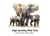 Elephant Family Clipart Bundle