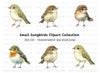 Cute Baby Birds Clipart Bundle
