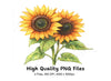 Sunflower Clipart Bundle