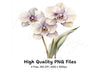 Elegant Orchid Clipart Bundle