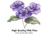 Purple Pansy Flower Clipart Bundle