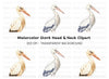 Stork Illustrations Clipart Bundle