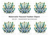 Peacock Feather Arrangement Clipart Bundle
