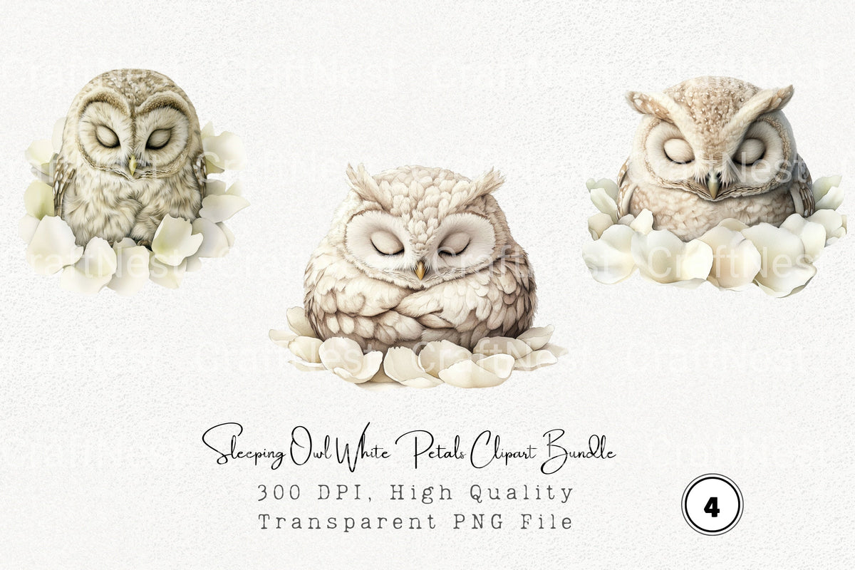Sleeping Owl White Petals Clipart Bundle