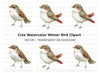 Charming Spotted Bird Clipart Bundle