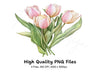 Pink and Yellow Tulip Bouquets Clipart Bundle