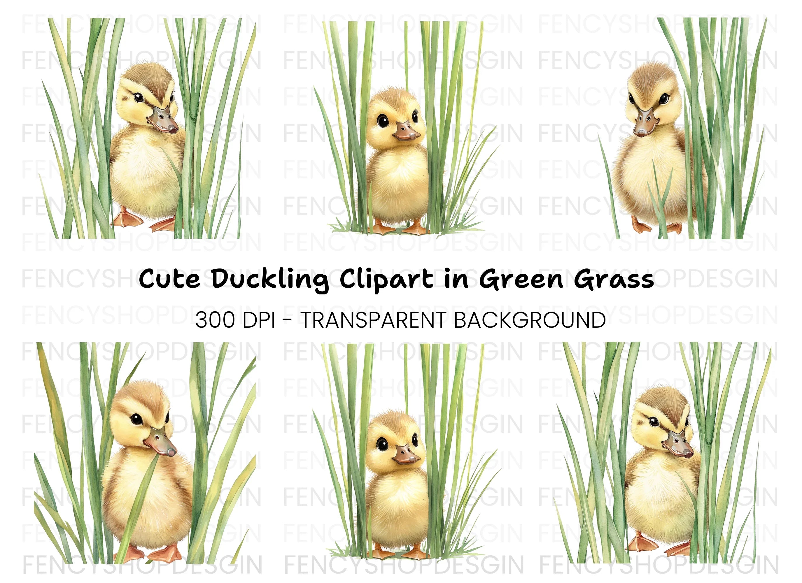 Adorable Ducklings in Green Grass Clipart Bundle