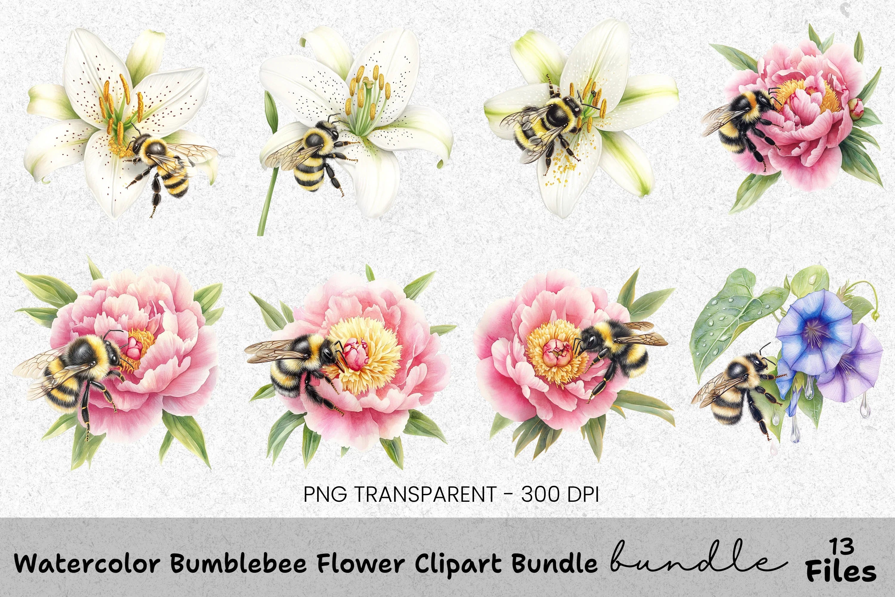 Bumblebee Flower Clipart Bundle