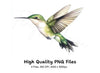 Graceful Hummingbirds Clipart Bundle