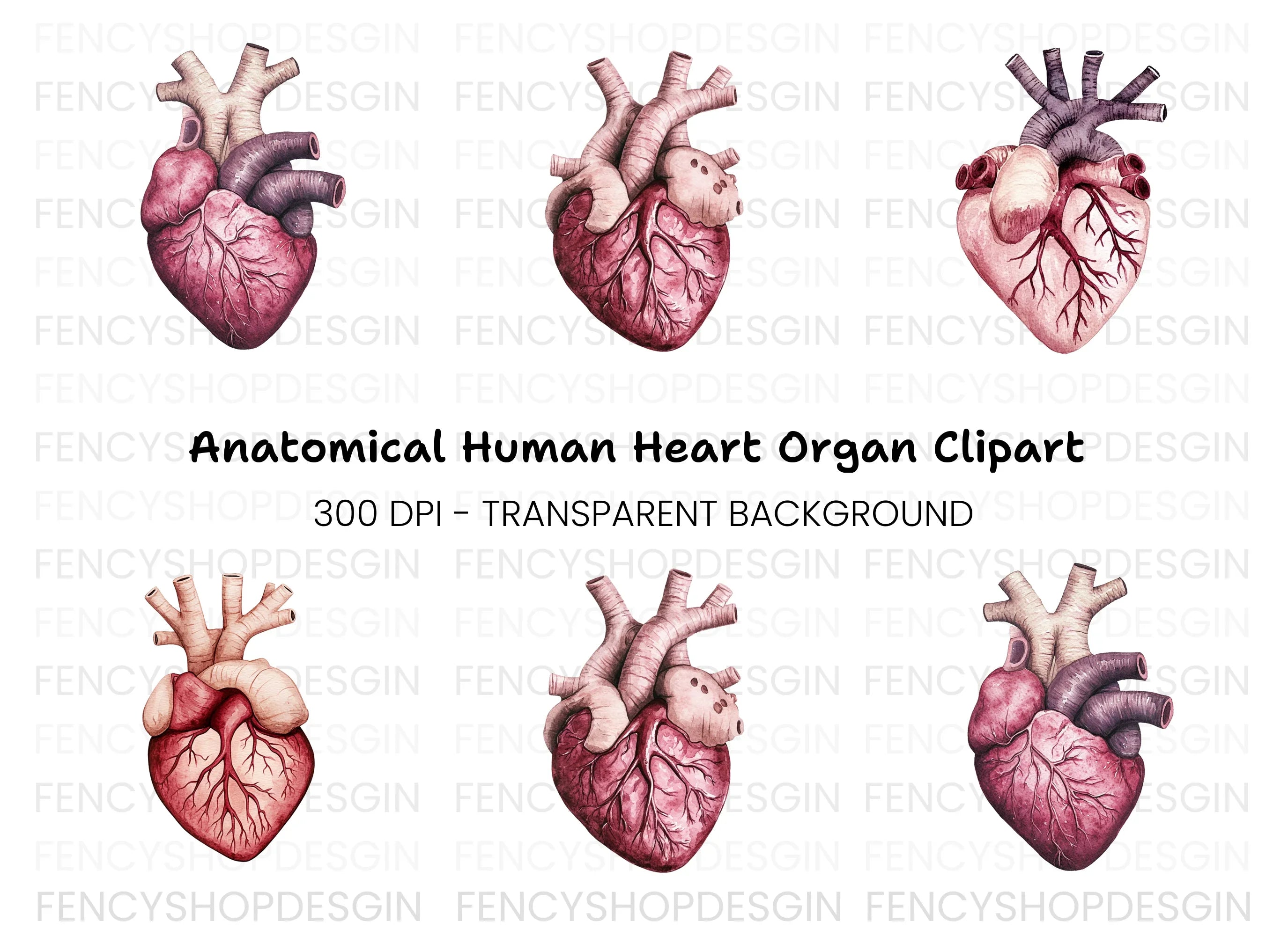 Vibrant Human Heart Clipart Bundle