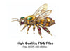 Jeweled Bee Clipart Bundle