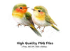 Cute Love Birds Clipart Bundle