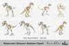 Dinosaur Skeleton Clipart Bundle