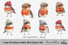 Cozy Christmas Robin Bird Clipart Bundle