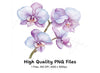 Purple Orchid Clipart Bundle