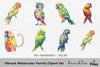 Vibrant Parrot Clipart Bundle