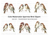 Sparrow Birds Clipart Bundle