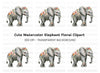 Floral Elephant Clipart Bundle