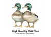 Mallard Duck Pair Clipart Bundle