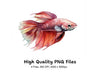 Betta Fish Clipart Bundle