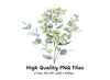 Eucalyptus Clipart Bundle