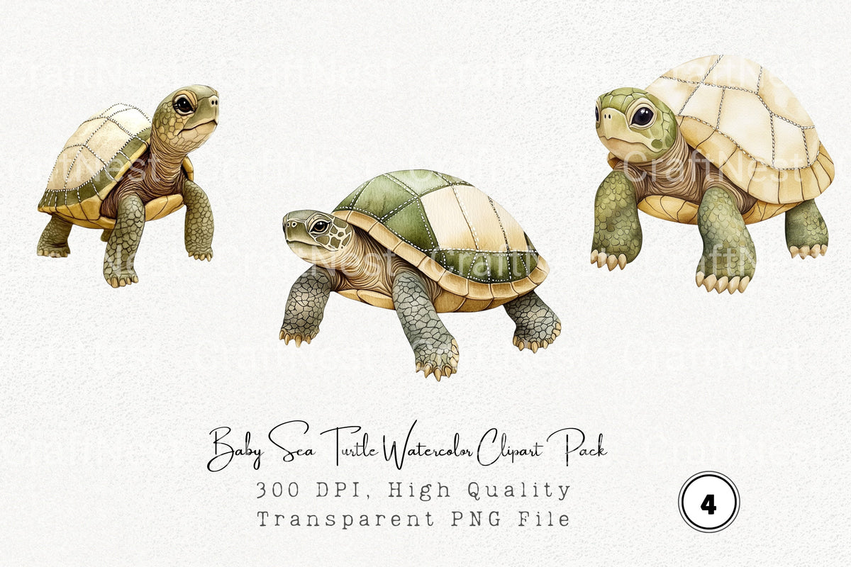 Baby Sea Turtle Clipart Bundle