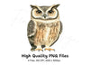Cute Owl Illustrations Clipart Bundle