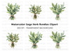Fresh Herb Bouquets Clipart Bundle