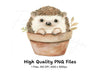 Charming Hedgehog in Terracotta Pot Clipart Bundle