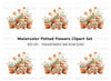 Potted Flowers Clipart Bundle