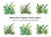 Tropical Leaves Clipart Bundle