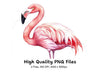 Pink Flamingo Clipart Bundle